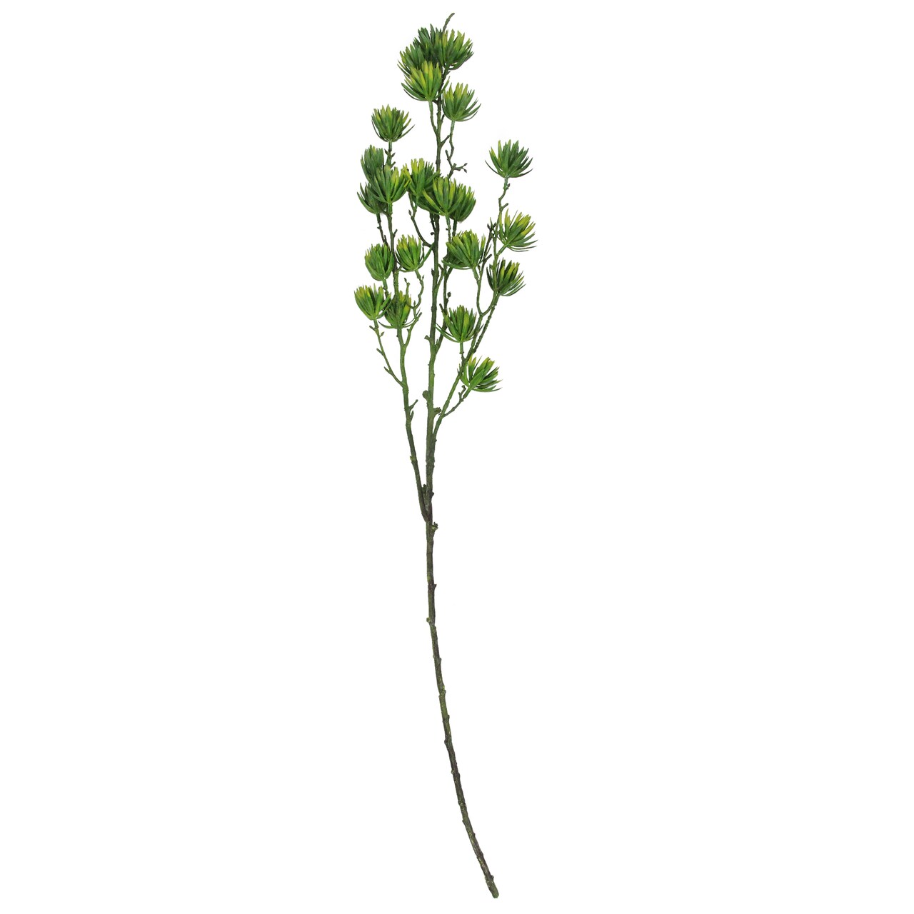 Select Artificials 37" Green Artificial Desert Protea Blooming Floral Spray